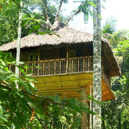 Kalidasa Tree House And Villa, Wayanad Chegāt 外观 照片