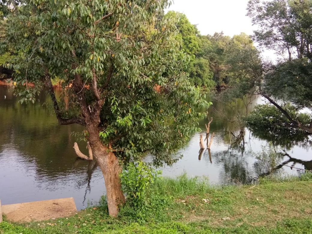 Kalidasa Tree House And Villa, Wayanad Chegāt 外观 照片