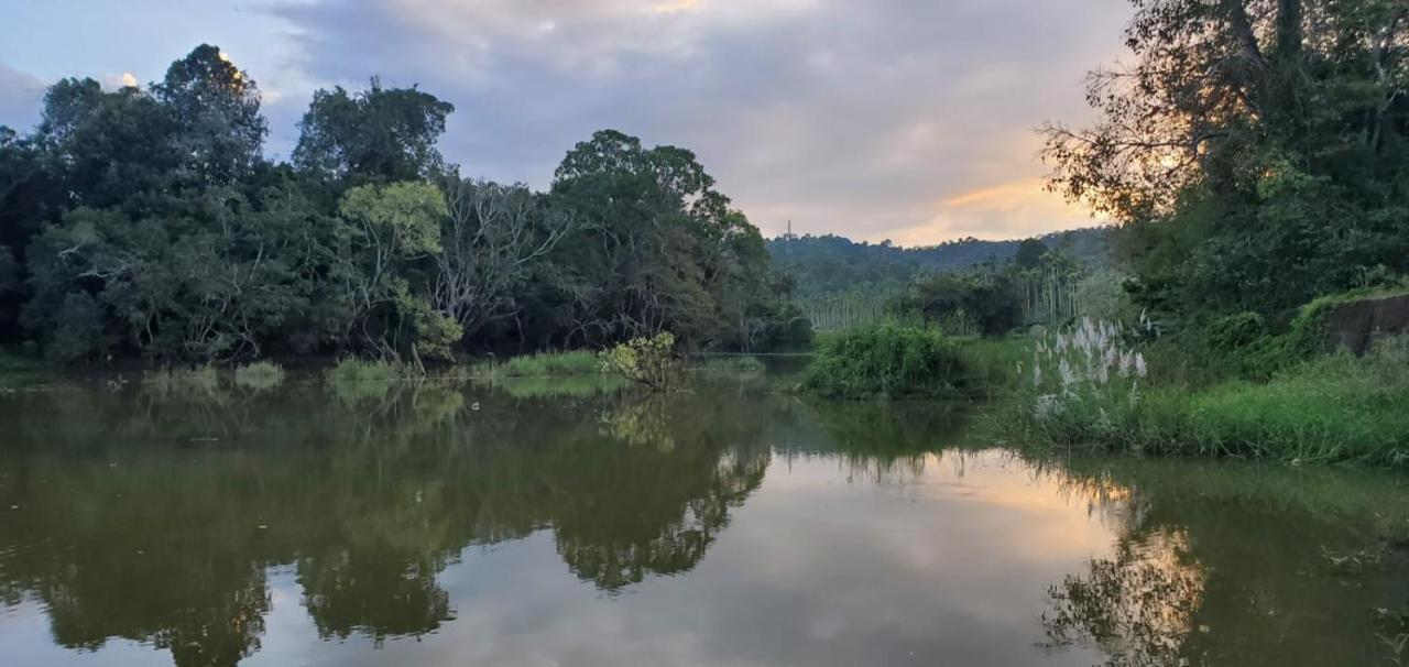 Kalidasa Tree House And Villa, Wayanad Chegāt 外观 照片