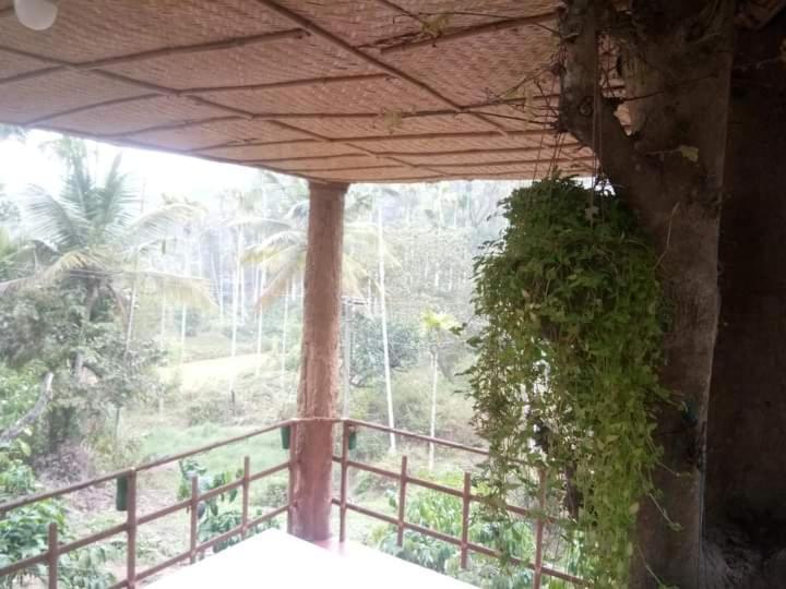 Kalidasa Tree House And Villa, Wayanad Chegāt 外观 照片