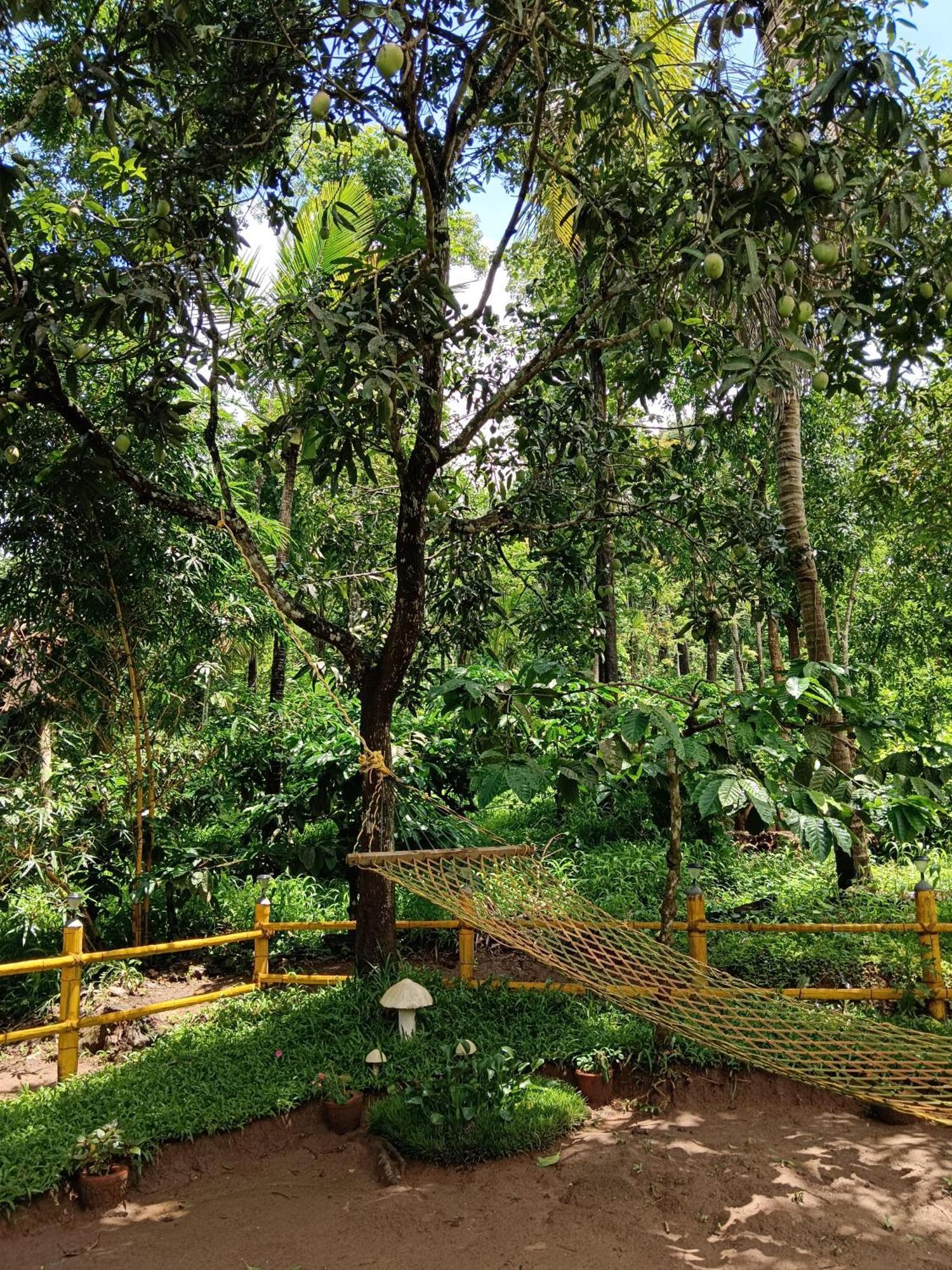 Kalidasa Tree House And Villa, Wayanad Chegāt 外观 照片