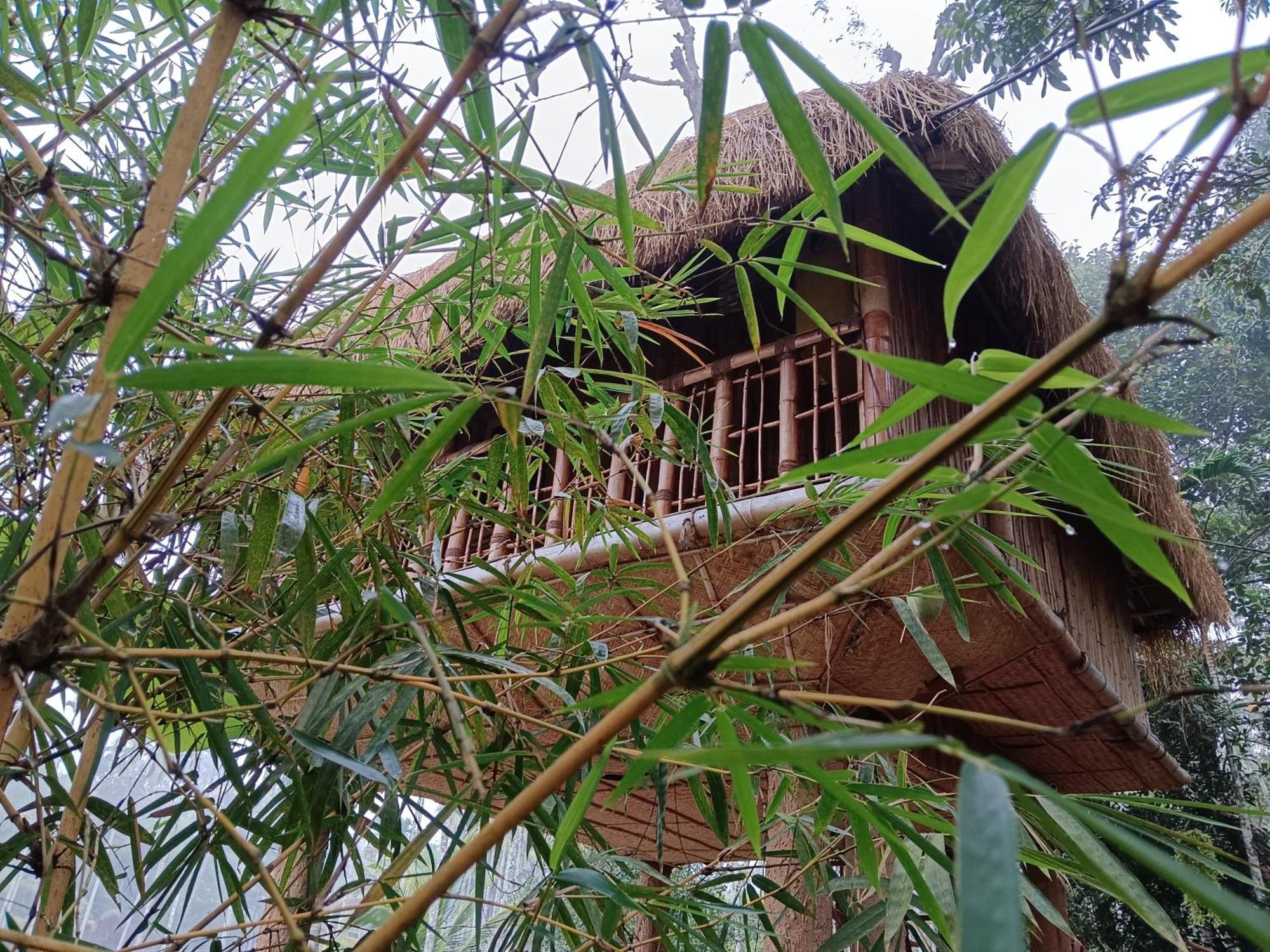 Kalidasa Tree House And Villa, Wayanad Chegāt 客房 照片