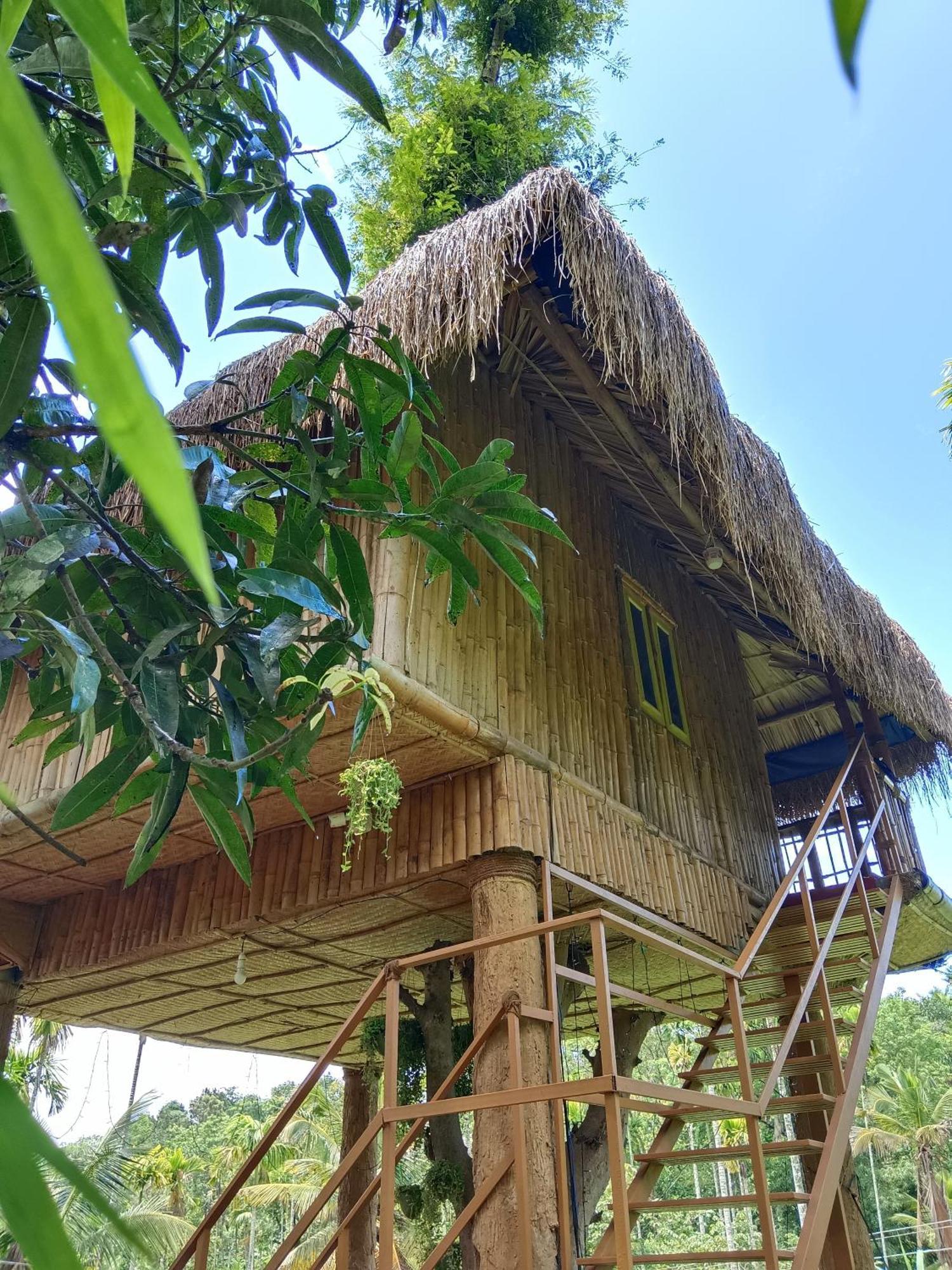Kalidasa Tree House And Villa, Wayanad Chegāt 客房 照片