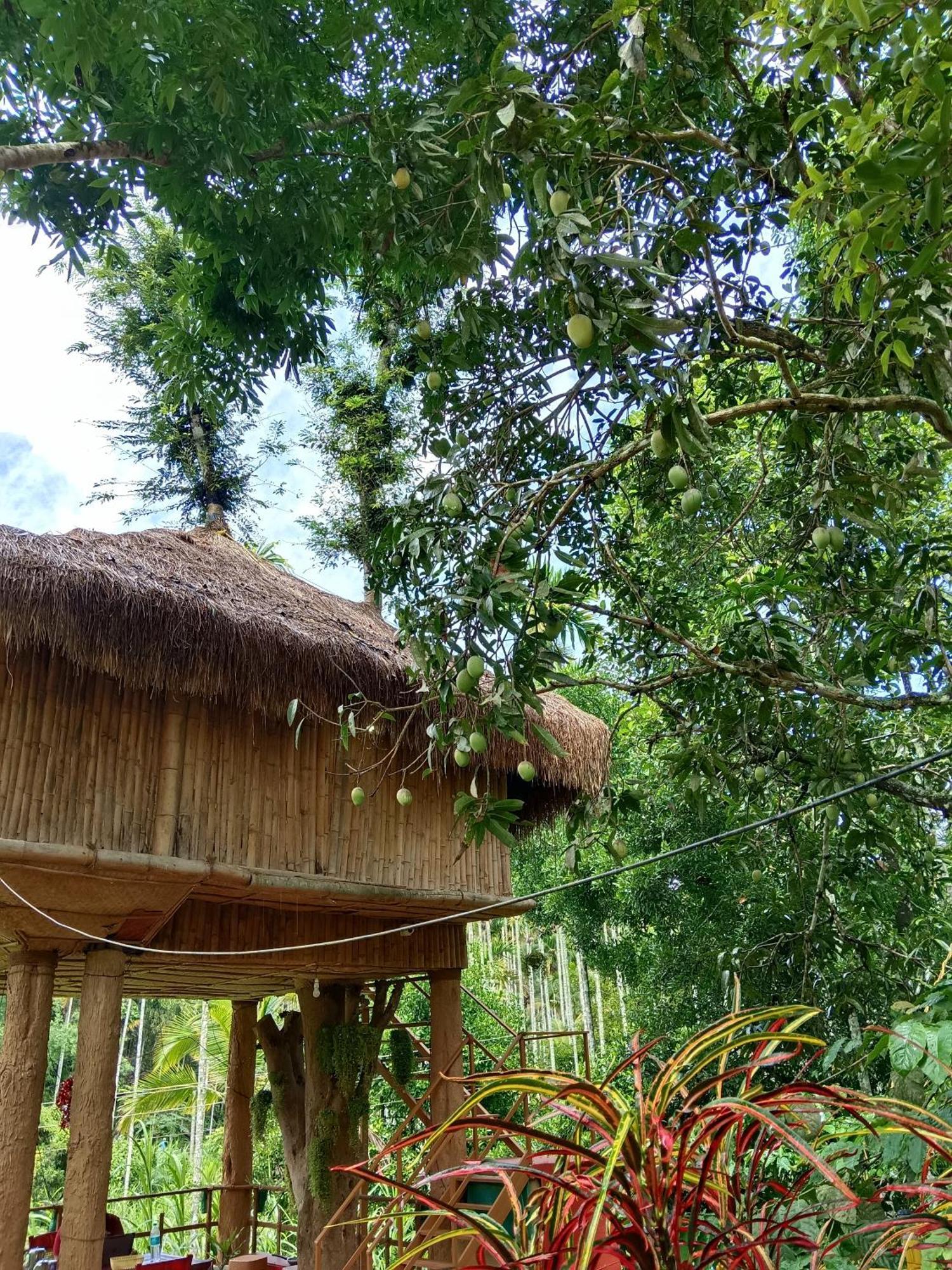 Kalidasa Tree House And Villa, Wayanad Chegāt 客房 照片