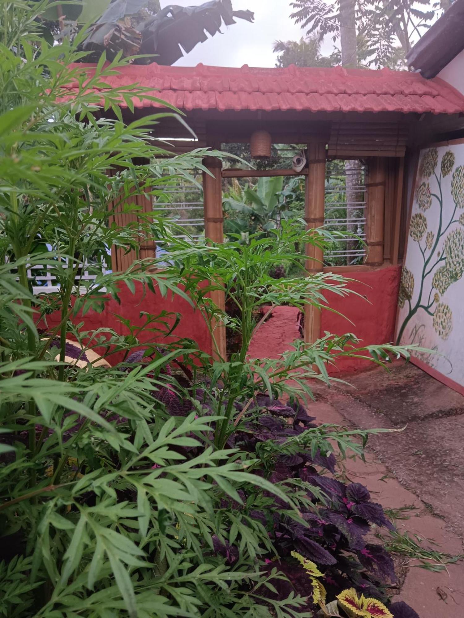 Kalidasa Tree House And Villa, Wayanad Chegāt 外观 照片